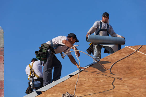 Best Roof Gutter Cleaning  in Tishomingo, OK